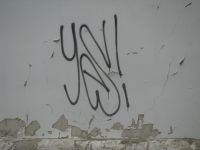 Grafiti ant sienos